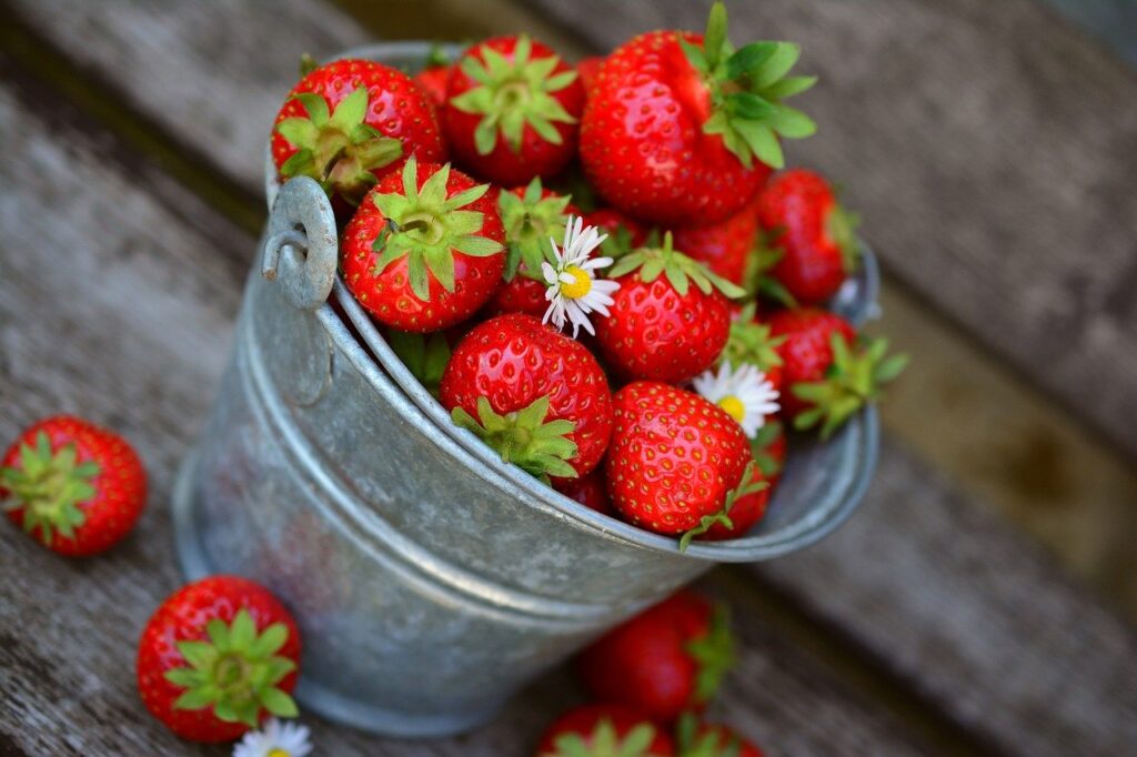 strawberries, fruits, berries-3431122.jpg